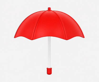 21 Inch (53.34cm) 2 Fold Auto-Open Umbrella